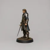 Paladin view 4