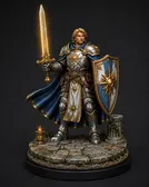 Paladin view 1