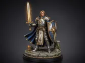 Paladin view 5